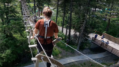 A person in a harness walks on a high ropes course among trees, with others visible on the ground below.