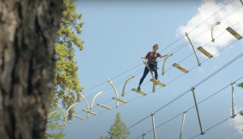 A person balances on a high ropes course, walking across wooden planks suspended between trees against a blue sky.