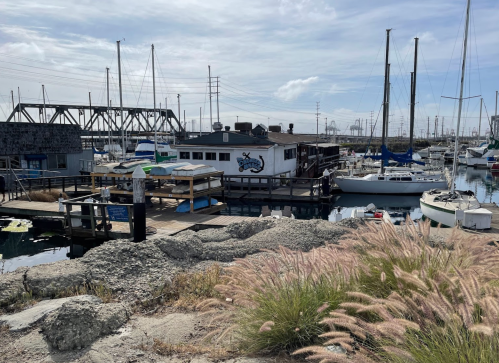 A marina scene featuring boats, a dock with a restaurant, and tall grass in the foreground under a cloudy sky.