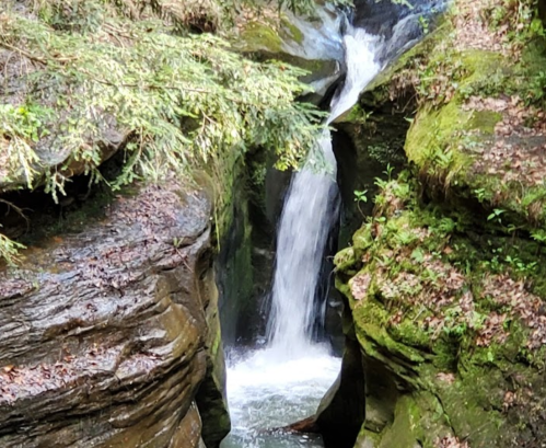 A serene waterfall cascading between moss-covered rocks in a lush, green forest.