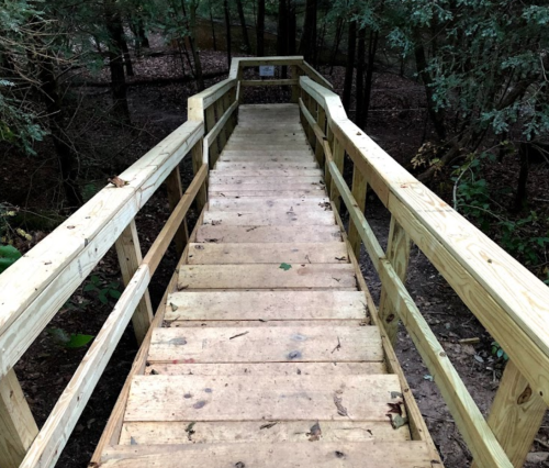 Wooden walkway leading down through a forested area, surrounded by trees and scattered leaves.