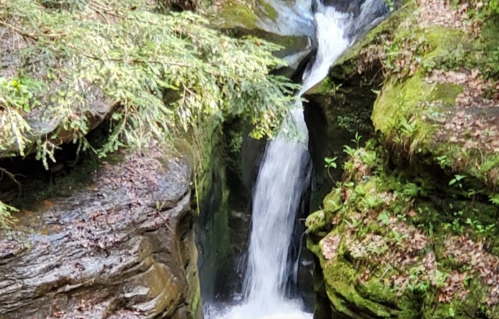 A serene waterfall cascading between moss-covered rocks in a lush, green forest.