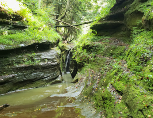 A narrow, moss-covered canyon with a small waterfall and lush greenery on the surrounding rock walls.