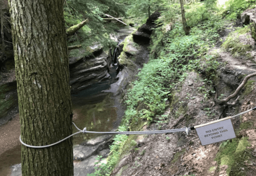 A forested area with a stream and a sign on a tree reading "No Entry Beyond This Point."