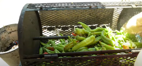 A metal grill filled with fresh green peppers, ready for roasting outdoors.