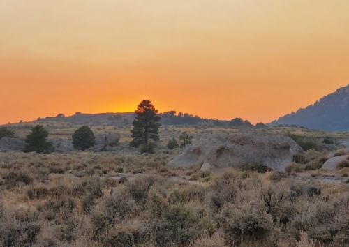 Sunset over a rocky landscape with sparse vegetation and distant trees, casting a warm orange glow in the sky.