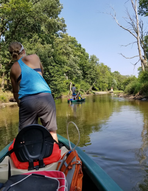 Two people kayaking on a calm river surrounded by lush greenery on a sunny day.