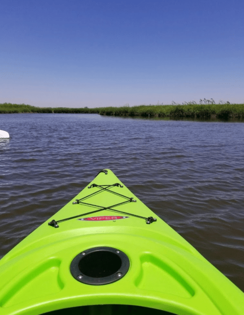 A bright green kayak on calm water, with a clear blue sky and lush greenery in the background.