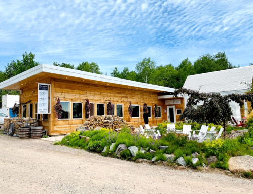 A rustic wooden building with large windows, surrounded by greenery and outdoor seating, under a blue sky.