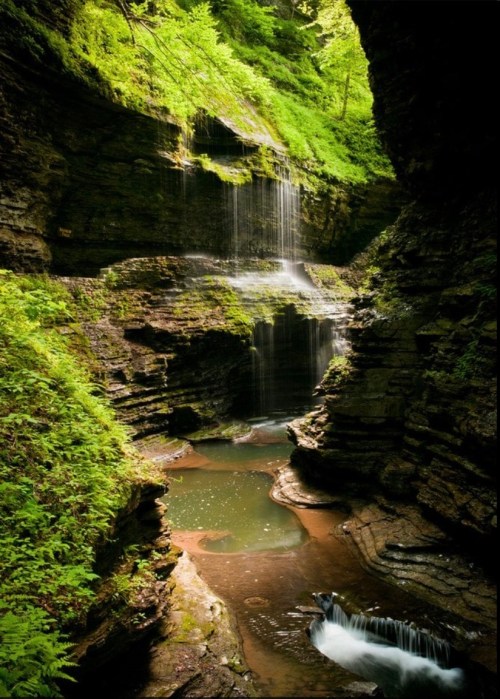 A serene waterfall cascades into a tranquil pool, surrounded by lush greenery and rocky cliffs.