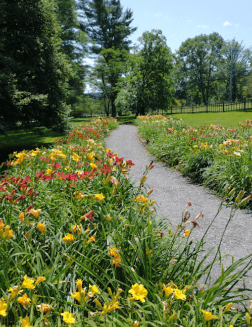 A winding gravel path surrounded by vibrant flowers in a sunny garden, with trees in the background.