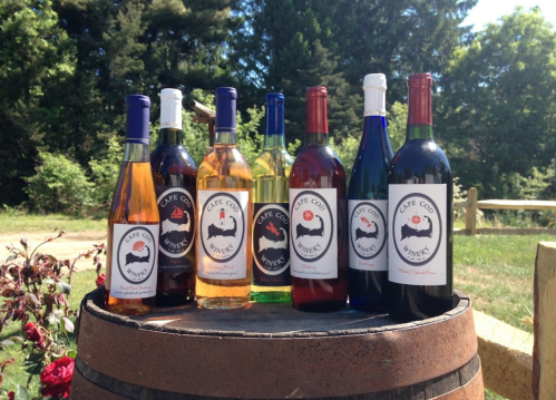A selection of wine bottles in various colors displayed on a wooden barrel outdoors, surrounded by greenery.