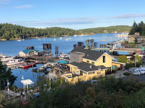 A scenic harbor view with boats, docks, and a yellow building surrounded by trees and calm water.