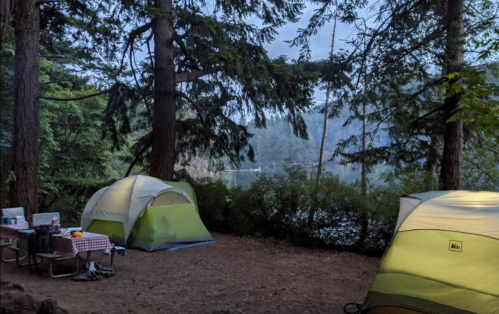A serene campsite with two tents surrounded by trees, overlooking a calm lake in the early morning light.