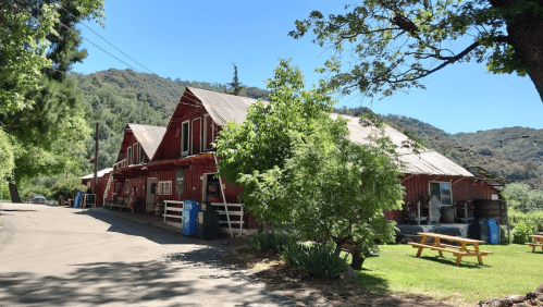 A red barn-style building surrounded by trees and picnic tables, set against a clear blue sky and green hills.