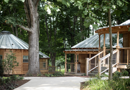 Two wooden cabins with metal roofs nestled among trees, connected by a paved path in a serene outdoor setting.