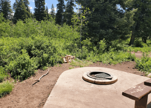 A campsite with a fire pit surrounded by greenery and trees under a clear blue sky.