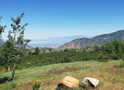 A scenic view of mountains and a valley, with green grass, trees, and two large rocks in the foreground.