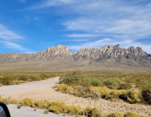 A rugged mountain range under a blue sky, with desert vegetation in the foreground and a gravel road leading into the scene.