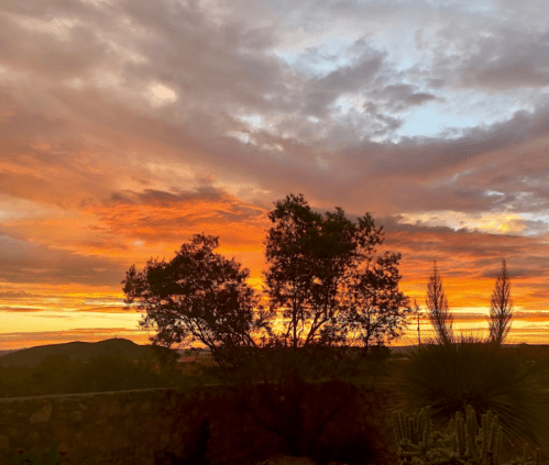 A vibrant sunset with orange and purple hues, silhouetting trees and distant hills against a cloudy sky.
