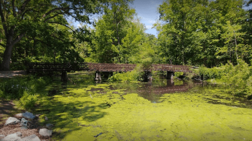 A wooden bridge spans a serene pond surrounded by lush greenery and vibrant foliage.