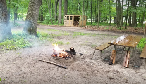A campfire burns in a clearing surrounded by trees, with a picnic table nearby and a wood storage shed in the background.