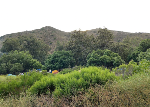 A lush green landscape with tents nestled among trees, set against a backdrop of rolling hills.