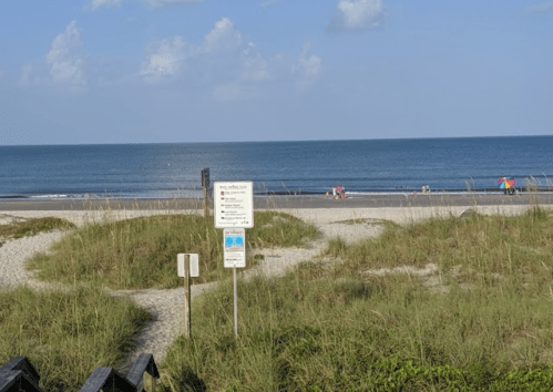 A sandy beach with a sign, grassy dunes, and a calm ocean under a clear blue sky. People are walking in the distance.