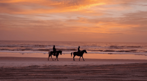 Two riders on horseback walk along a beach at sunset, with waves gently lapping at the shore.