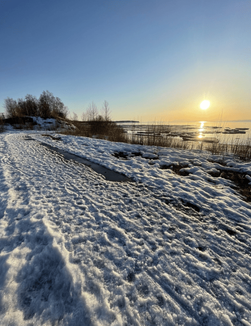 A snowy landscape with a winding path leading to a sunset over a frozen lake, surrounded by sparse trees.