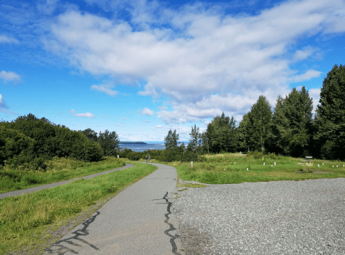 A winding path through green grass leads to a scenic view of the water and trees under a blue sky with clouds.