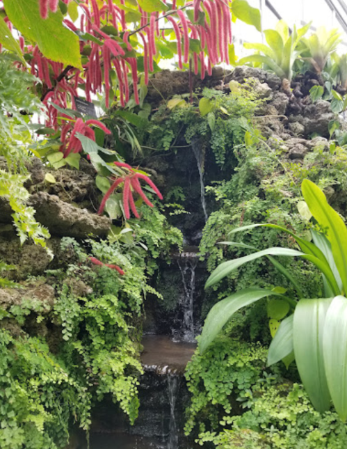 A lush green waterfall surrounded by vibrant plants and red flowers in a greenhouse setting.