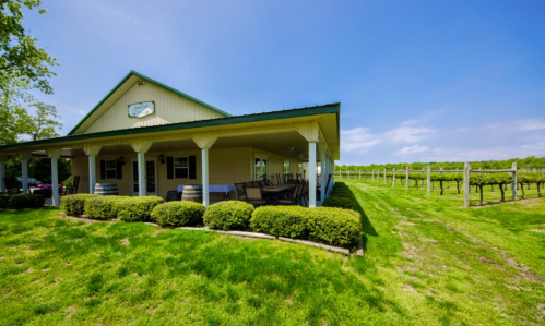 A charming vineyard house with a porch, surrounded by lush green grass and rows of grapevines under a clear blue sky.
