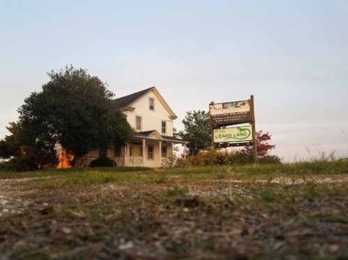 A white house with a porch, surrounded by trees, next to a sign for "Lizard Land" on a gravel path.