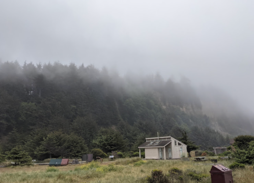 A foggy landscape featuring a small house near a forested hillside, with mist covering the trees.
