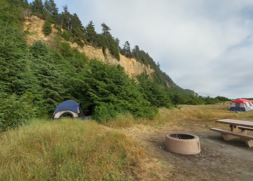 A campsite with tents near a forested area and a rocky cliff in the background, featuring a picnic table and fire pit.