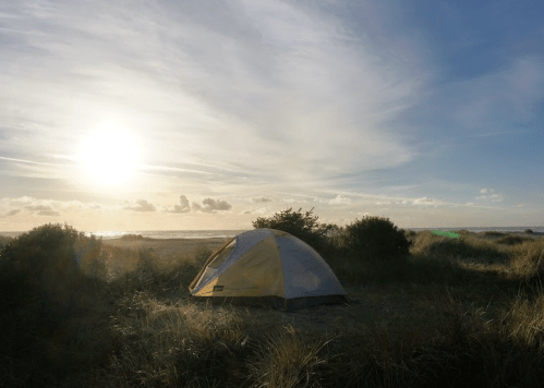 A tent set up on a grassy beach with the sun setting over the ocean in the background.
