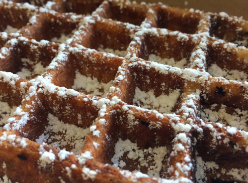Close-up of a golden-brown waffle dusted with powdered sugar, showcasing its grid pattern and crispy texture.