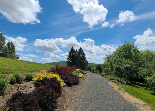 A scenic pathway lined with colorful shrubs, leading through a lush green landscape under a bright blue sky with clouds.