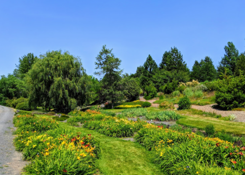 A vibrant garden with colorful flowers, lush greenery, and a clear blue sky, winding paths through the landscape.