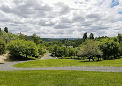 Lush green landscape with trees, a winding path, and a gazebo under a cloudy sky.