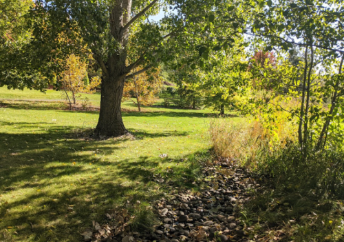 A serene park scene featuring a large tree, grassy area, and a small rocky stream surrounded by autumn foliage.