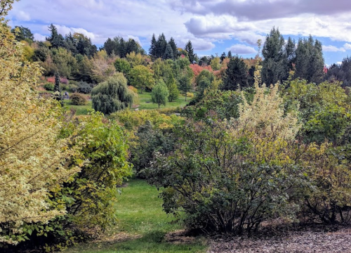 A scenic view of a lush landscape with trees and colorful foliage under a partly cloudy sky.