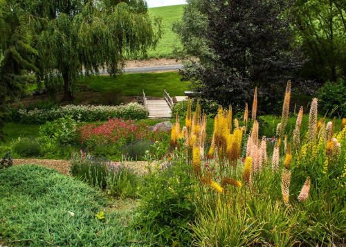 A vibrant garden with colorful flowers and greenery, featuring a wooden bridge in the background.