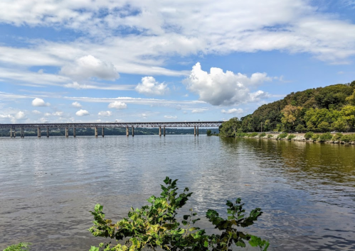 A serene river scene with a bridge in the background, surrounded by lush greenery and a blue sky with fluffy clouds.