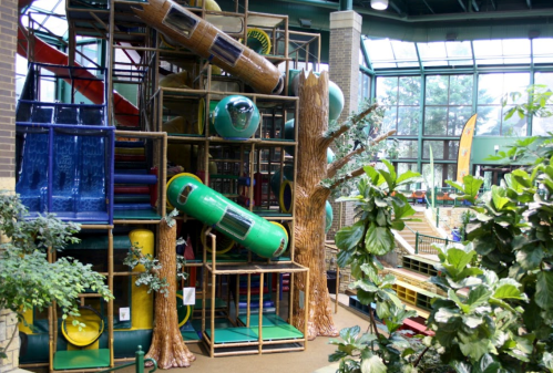 Colorful indoor playground structure with slides, tunnels, and tree-like features surrounded by greenery.
