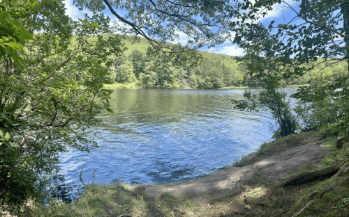 A serene river scene surrounded by lush greenery and trees under a clear blue sky.