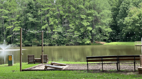 A serene park scene featuring a pond, benches, and string lights, surrounded by lush green trees.