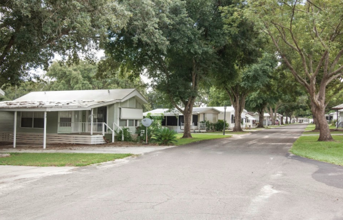 A quiet residential street lined with houses and large trees, featuring a paved road and green lawns.