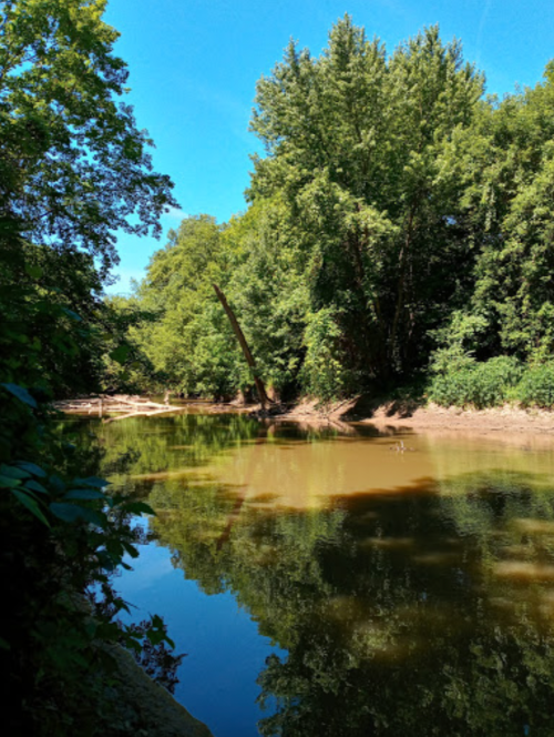 A serene river scene surrounded by lush green trees under a clear blue sky, reflecting the landscape in the water.